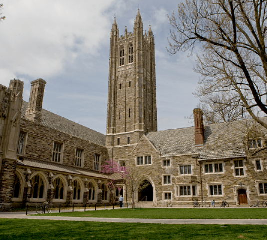 1533556731php9oeJON_g