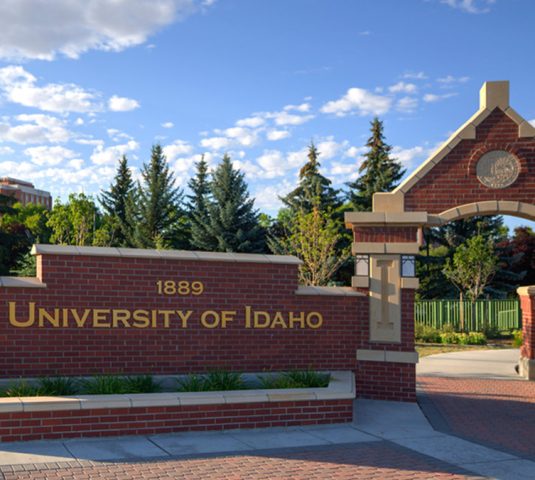 68025a49-5d4c-4b7d-86c8-a5eeb84271b3